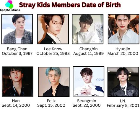 Stray kids Members Net Worth 2024: Age, Wiki, And More